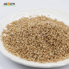 AGOLYN high quality new crops bulk white Roasted Sesame seeds